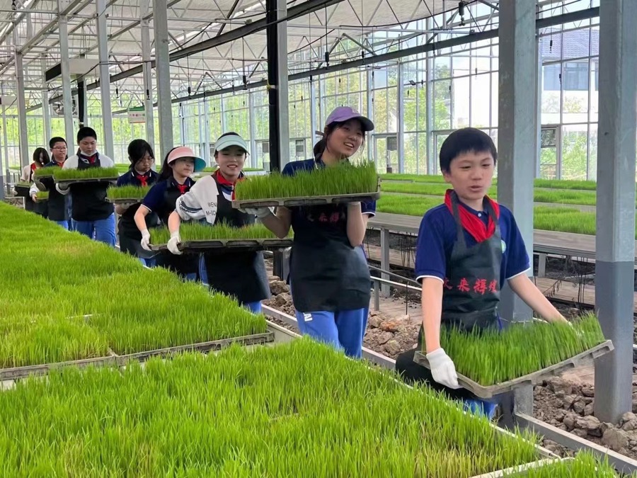农场技术_农场生活有哪些技能_农场技能生活有什么好处