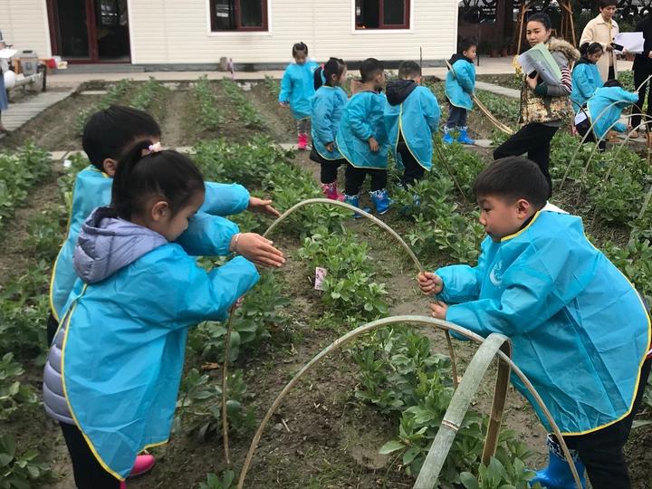 农场主技能在哪里学_农场生活有哪些技能_农场主技能研究