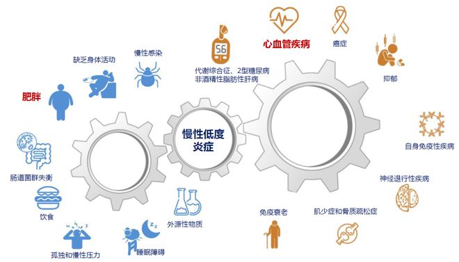 疾病干预的重要性_生活方式干预疾病_干预疾病方式生活中的问题