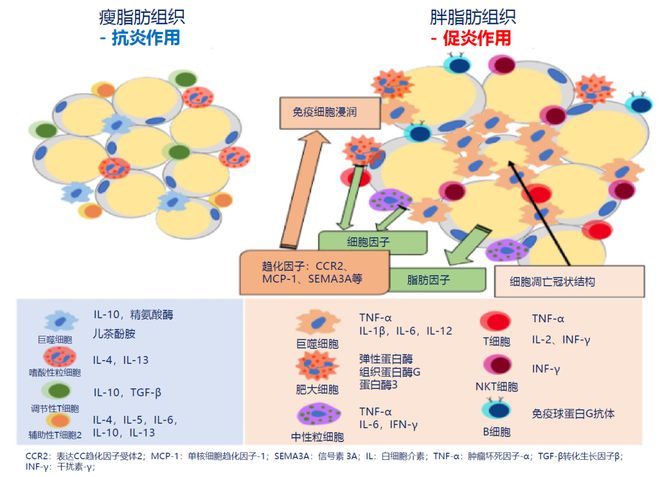 生活方式干预疾病_疾病干预的重要性_干预疾病方式生活中的问题