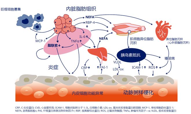 疾病干预的重要性_生活方式干预疾病_干预疾病方式生活中的问题