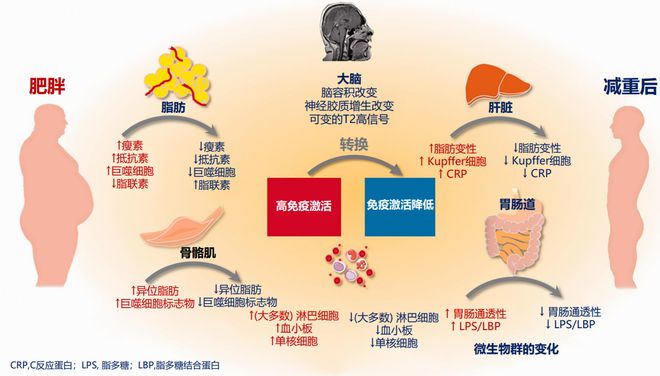 干预疾病方式生活中的问题_生活方式干预疾病_疾病干预的重要性