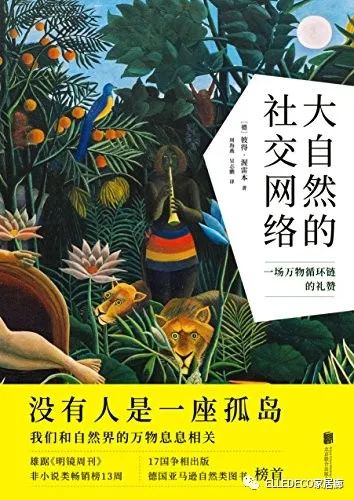 家庭植物养护小知识_家养植物观察日记_家庭养植物的日常生活记录