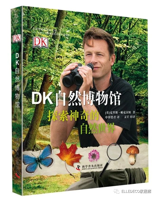 家养植物观察日记_家庭植物养护小知识_家庭养植物的日常生活记录