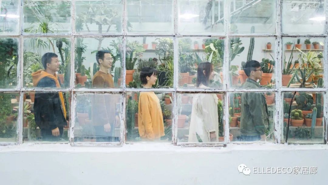 家庭养植物的日常生活记录_家养植物观察日记_家庭植物养护小知识