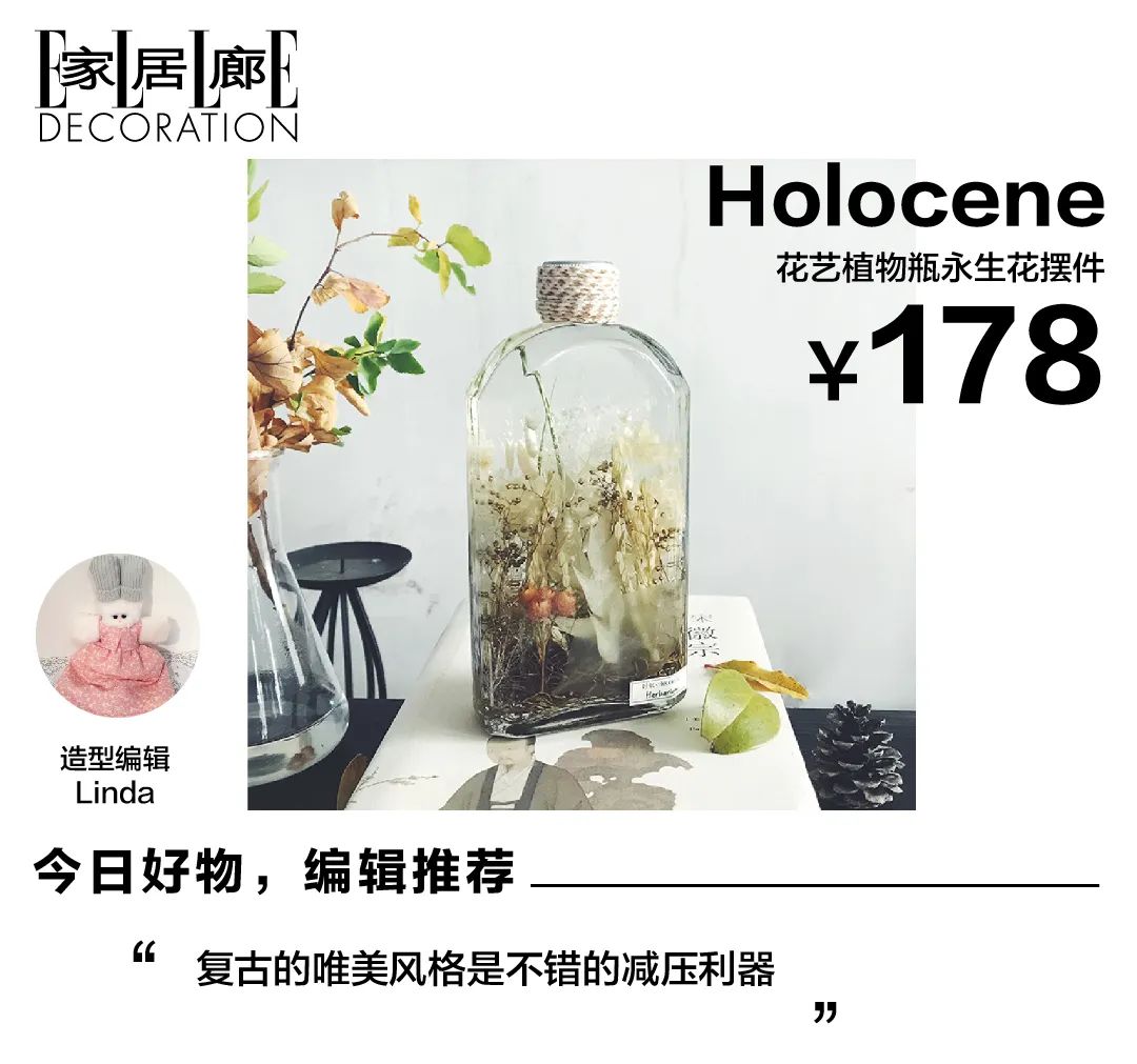 家庭养植物的日常生活记录_家庭植物养护小知识_家养植物观察日记