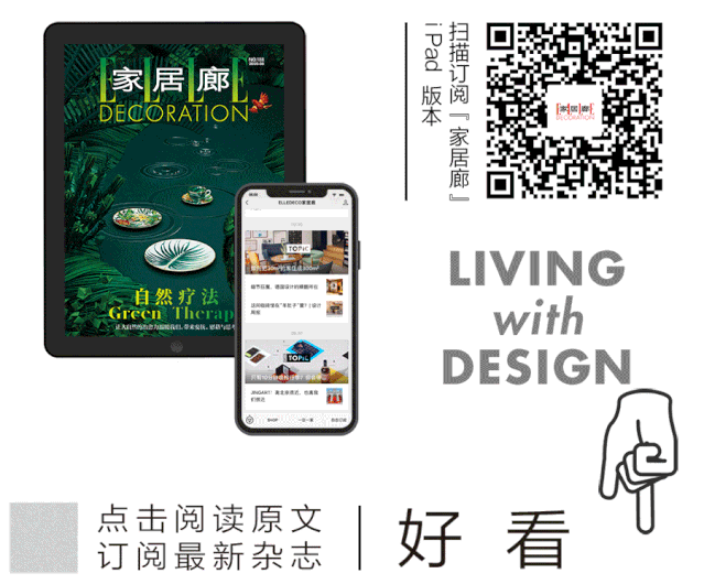 家养植物观察日记_家庭养植物的日常生活记录_家庭植物养护小知识