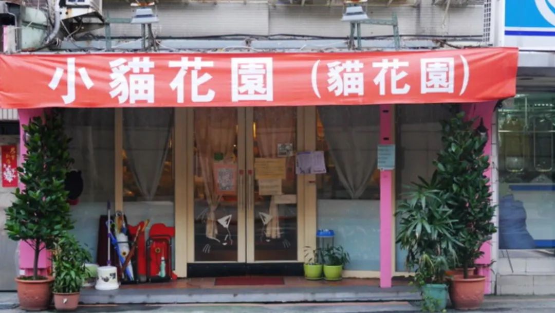 日本宠物咖啡馆_咖啡宠物店_日本宠物咖啡厅