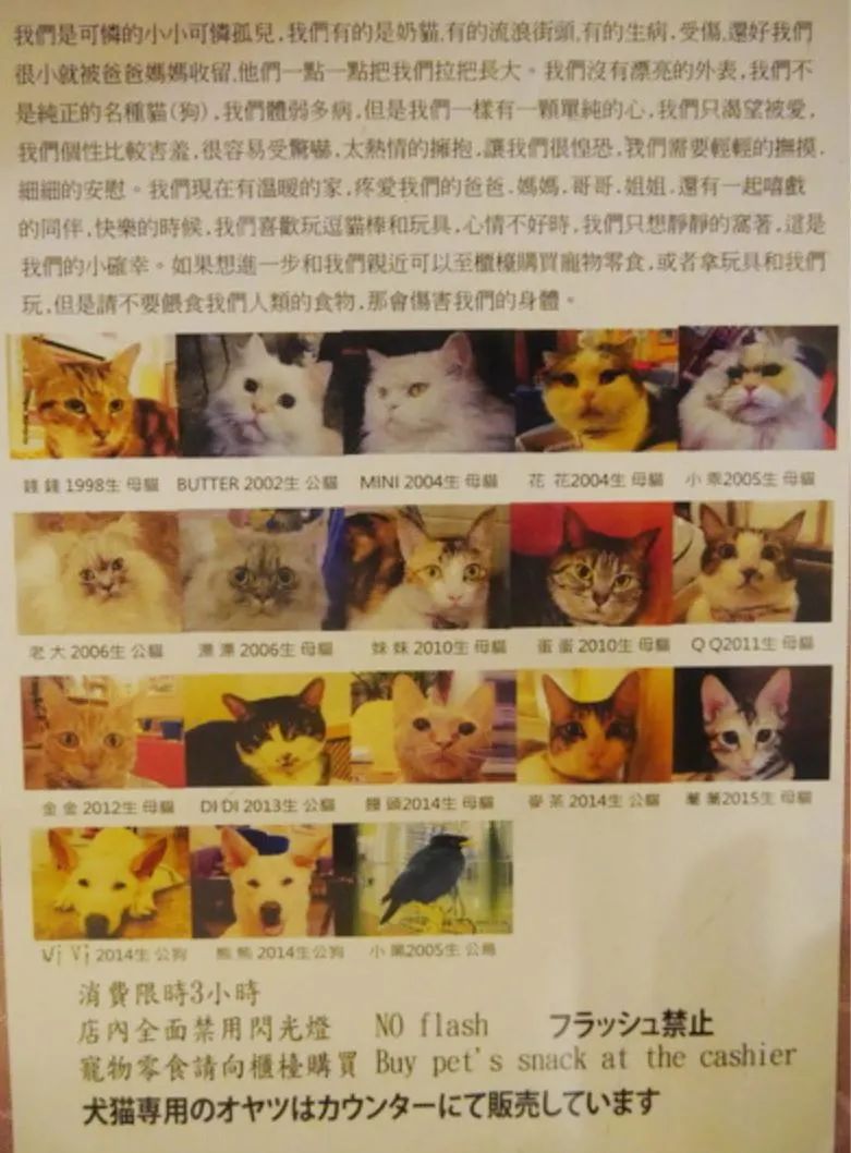 日本宠物咖啡馆_日本宠物咖啡厅_咖啡宠物店