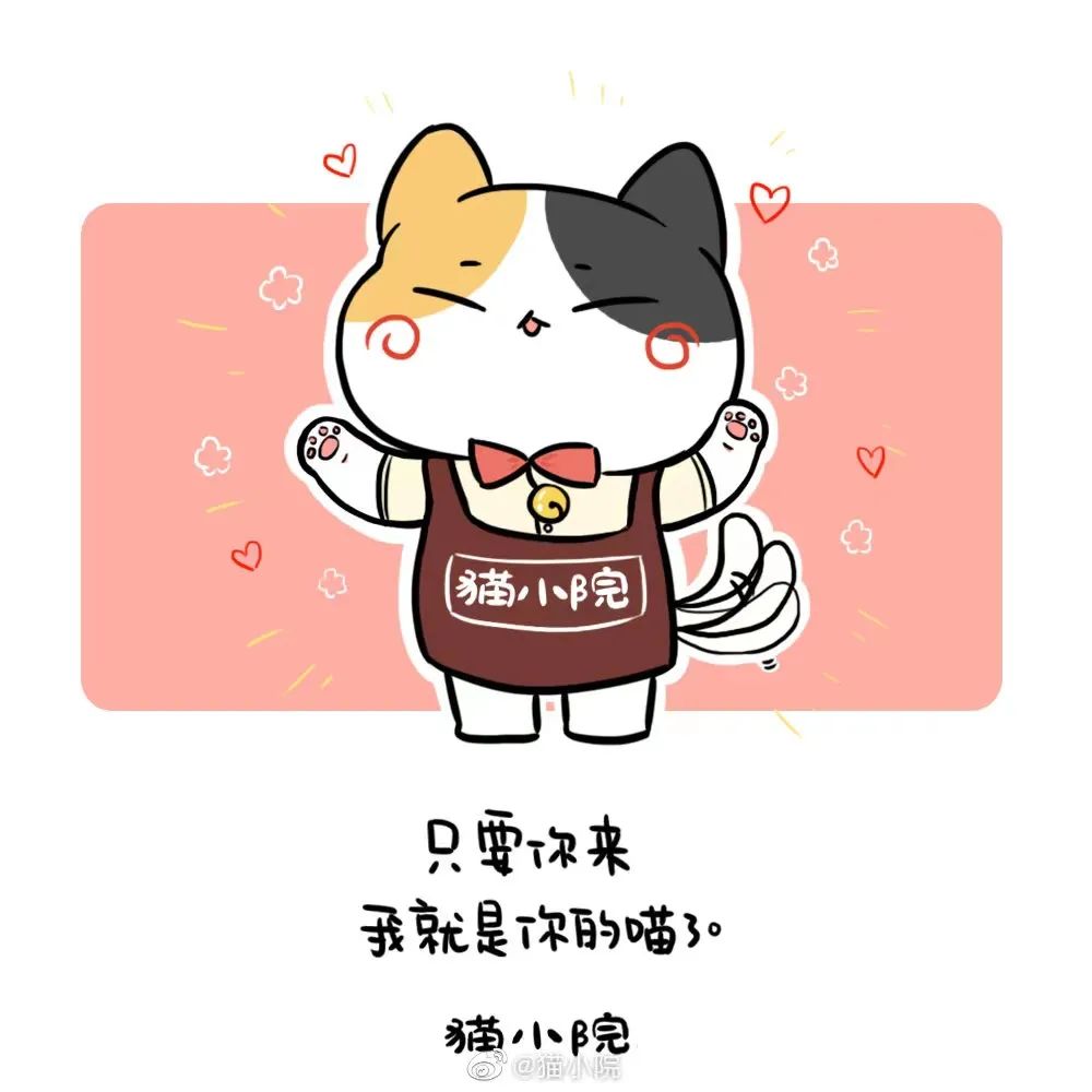 日本宠物咖啡馆_日本宠物咖啡厅_咖啡宠物店