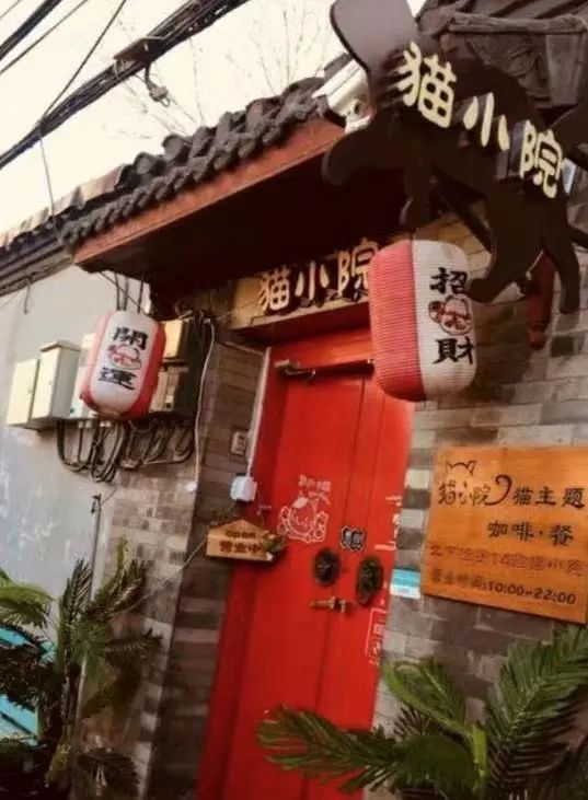 咖啡宠物店_日本宠物咖啡厅_日本宠物咖啡馆