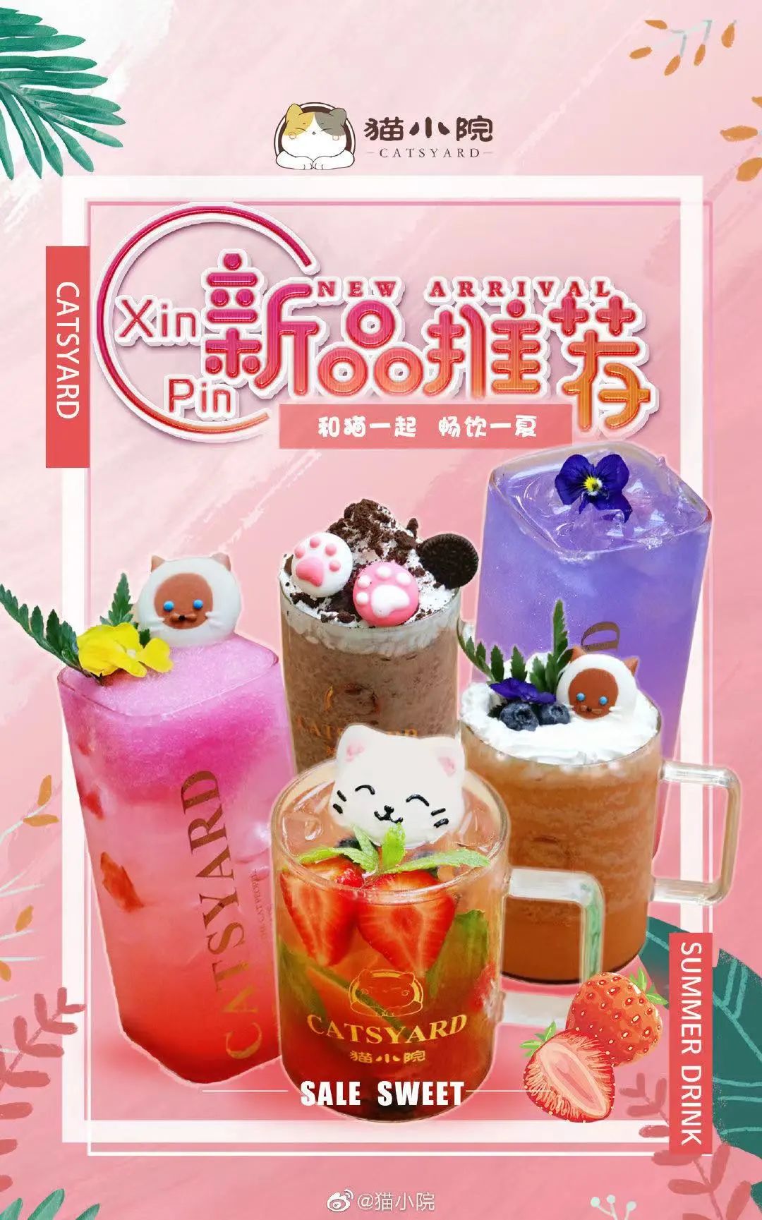 日本宠物咖啡馆_日本宠物咖啡厅_咖啡宠物店